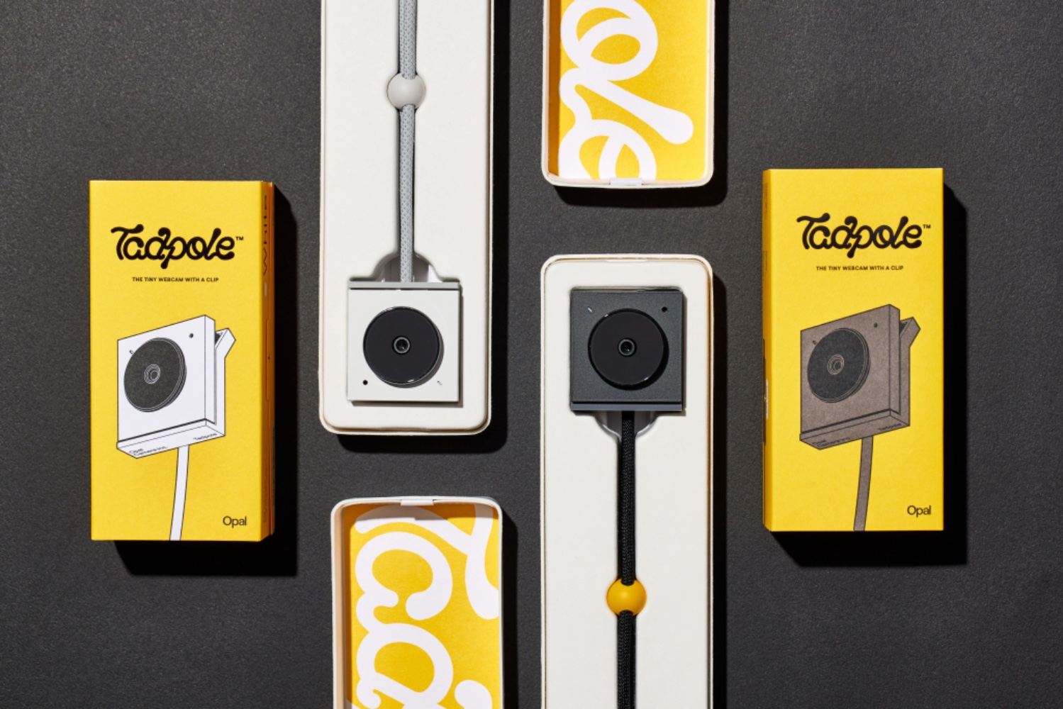 Opal Tadpole Camera Features A Compact Packaging System